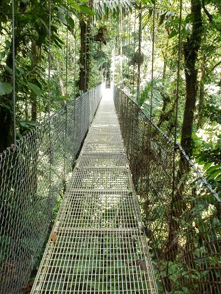 Κρεμαστή γέφυρα στο πρωτογενές τροπικό δάσος της βροχής, Κόστα Ρίκα